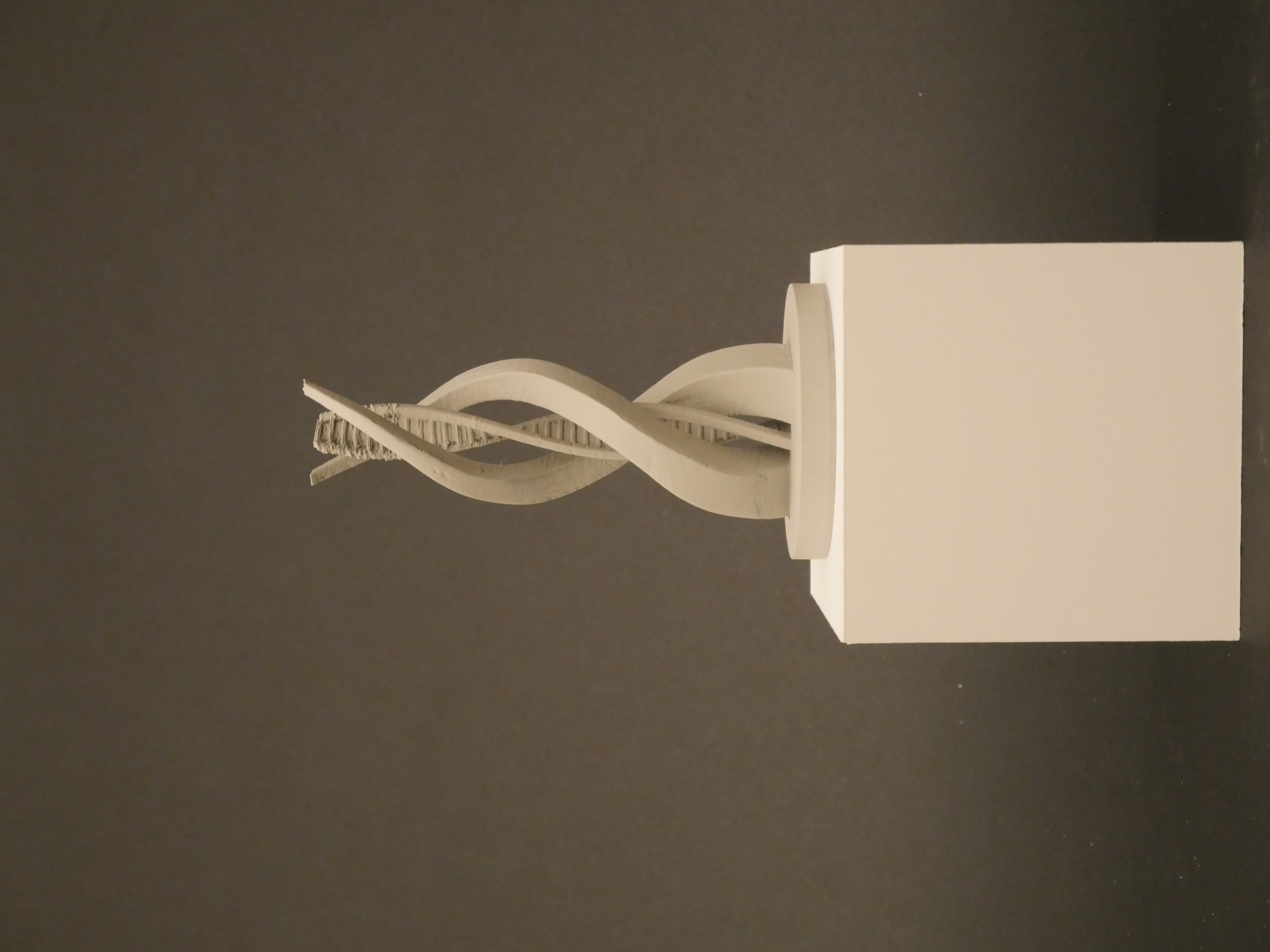 Artifacts of Identity - P1150390