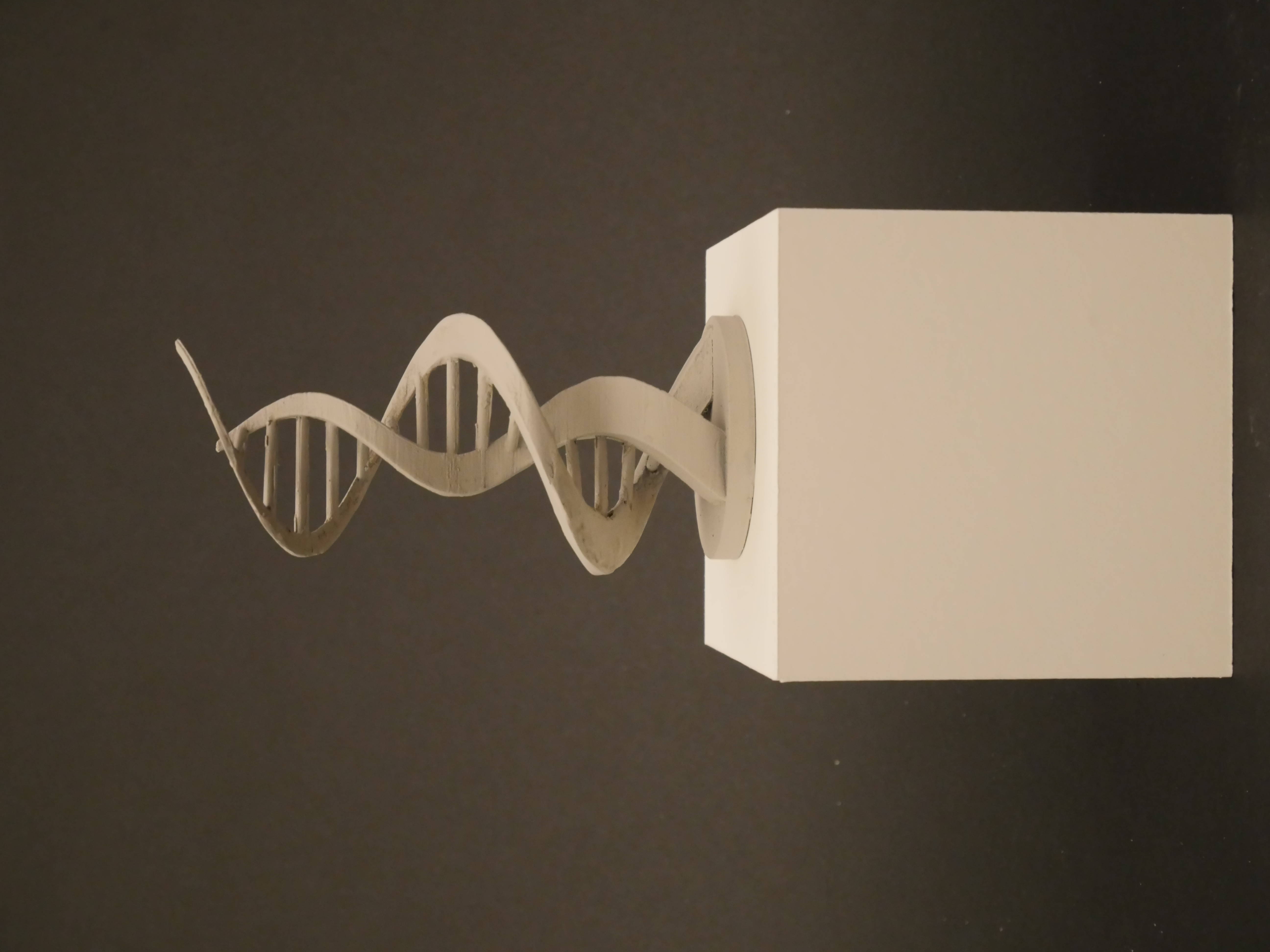 Artifacts of Identity - P1150394