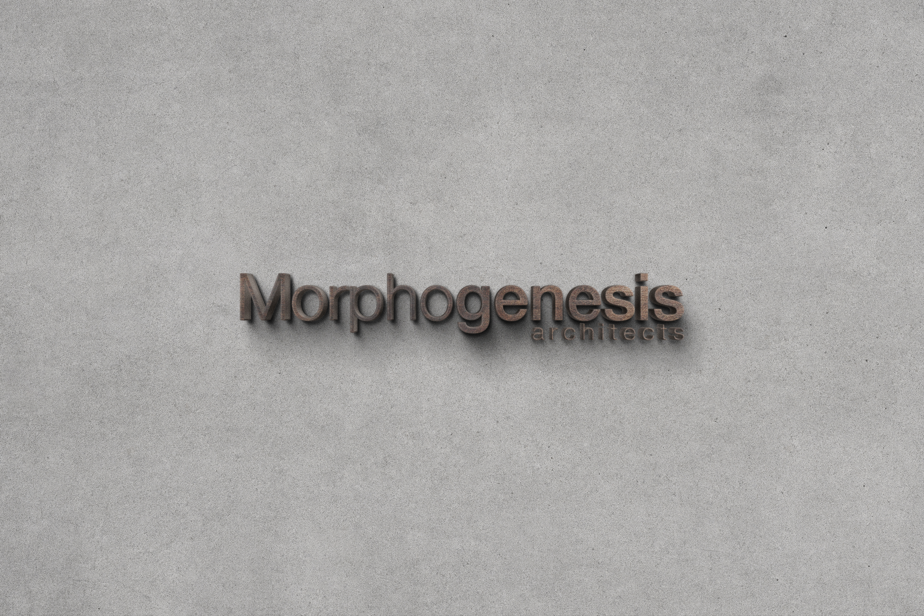 Graphic Design - Logo 11