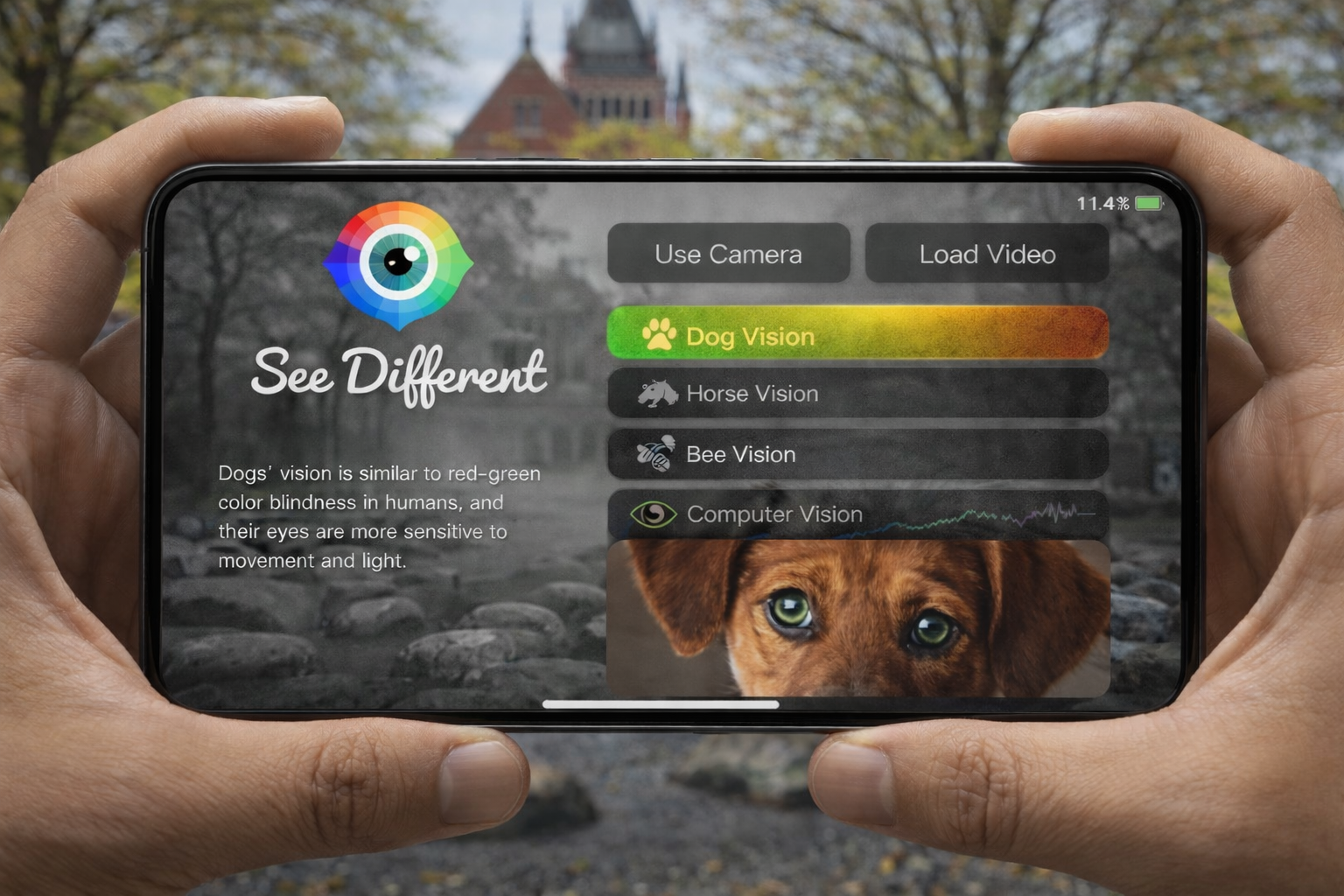 SeeDifferent - Key Visual